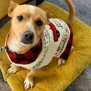 Meet your Posher, Luis